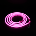 Pink LED Light-Up Dog Leash